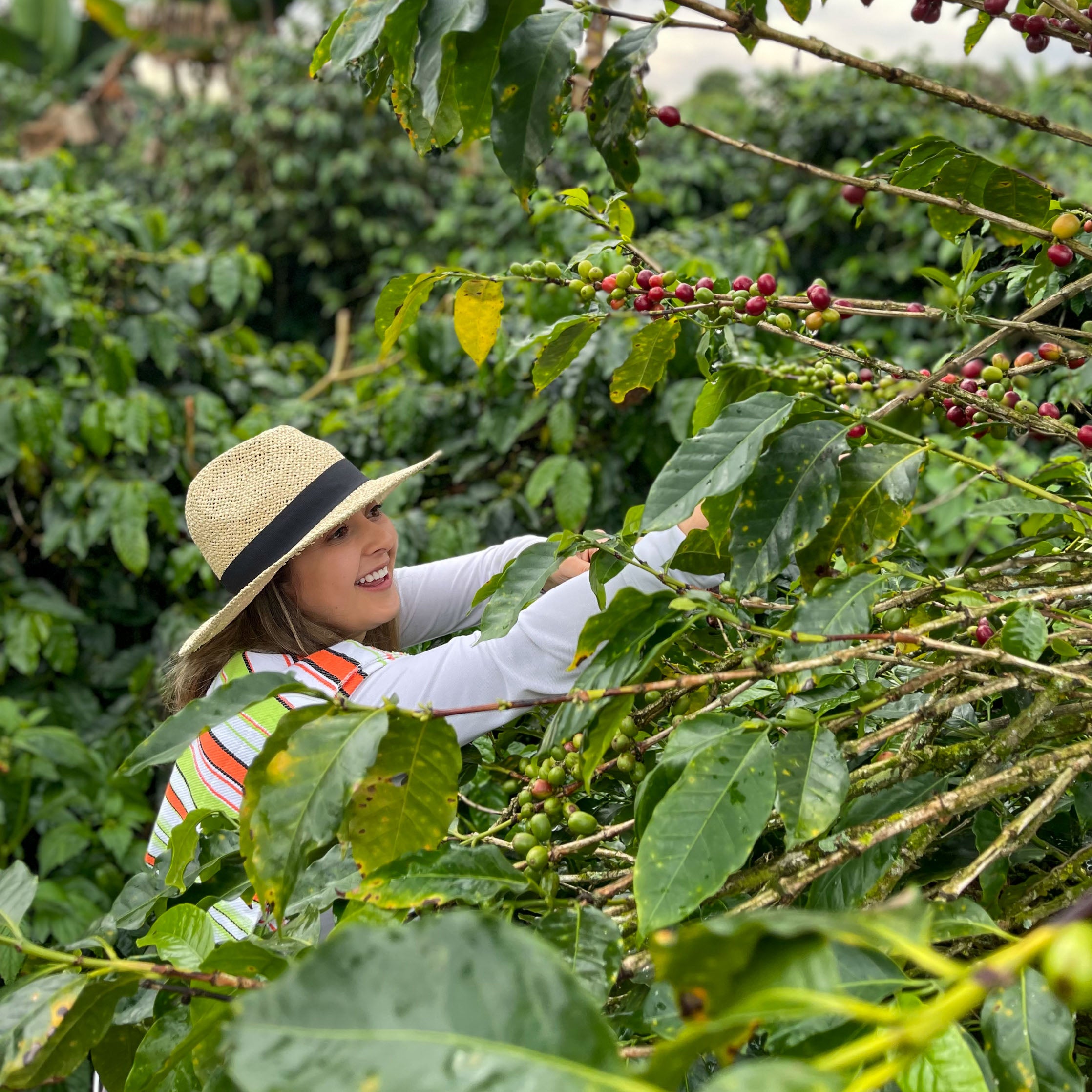 KOM COFFEE 500 GR